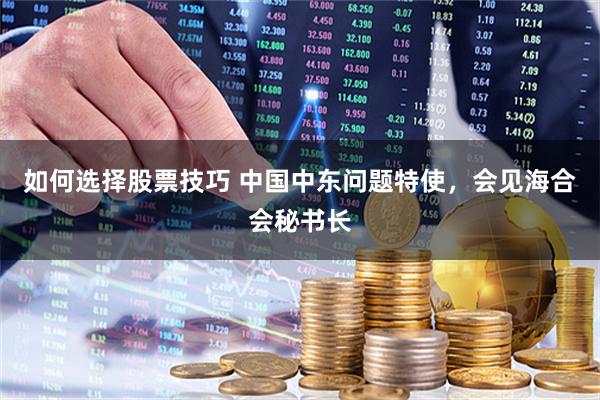 如何选择股票技巧 中国中东问题特使，会见海合会秘书长
